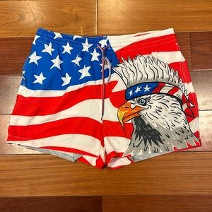Chubbies lined patriotic American swimsuit